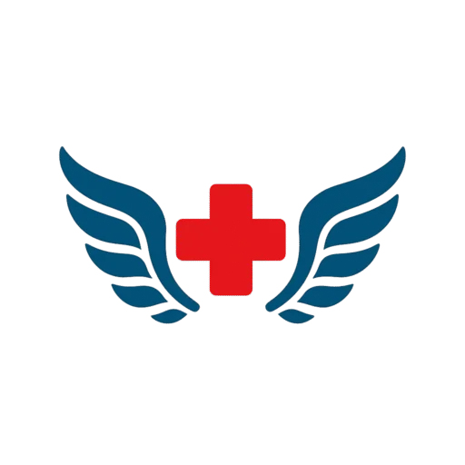 Ambulance Angels
